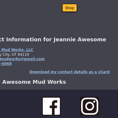 Screenshot snippet from Awesome Mud Works website.